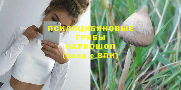 a pvp Верея
